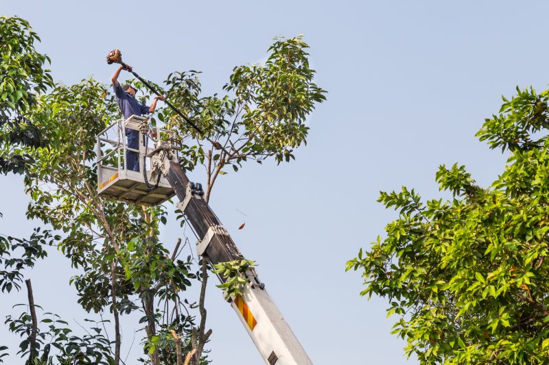 Local Leaf Barrier Installation pros at work