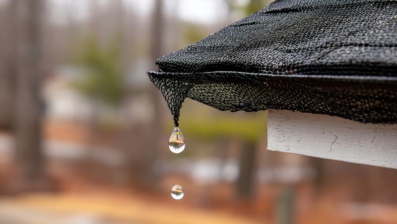Gutter Mesh Installation in Roseville, CA