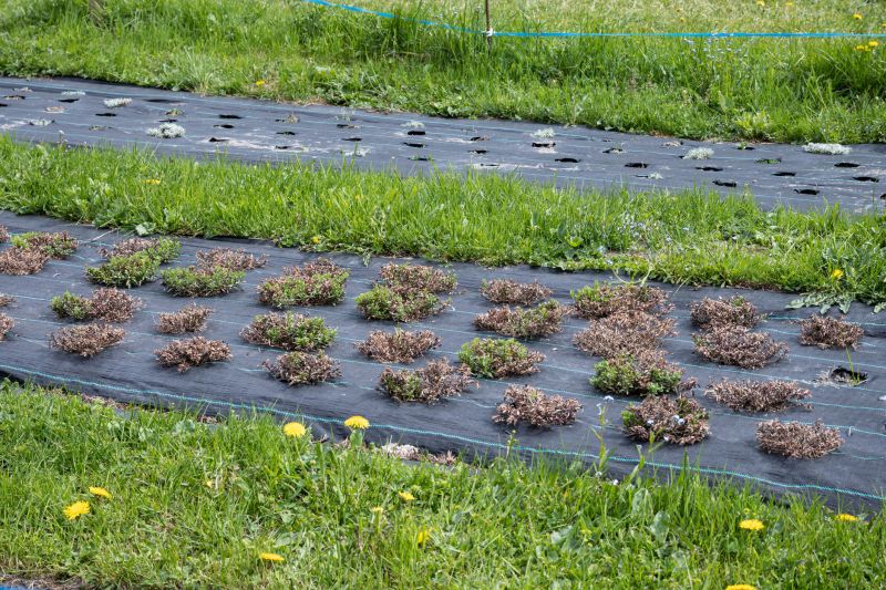 Landscape with Leaf Barrier